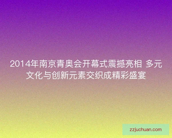 2014年南京青奥会开幕式震撼亮相 多元文化与创新元素交织成精彩盛宴