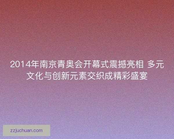 2014年南京青奥会开幕式震撼亮相 多元文化与创新元素交织成精彩盛宴
